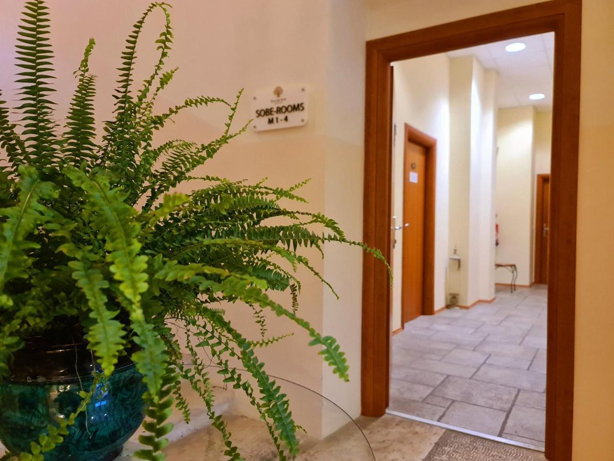 Hotel Stara Sola - Oleander Resort Korte Exteriér fotografie