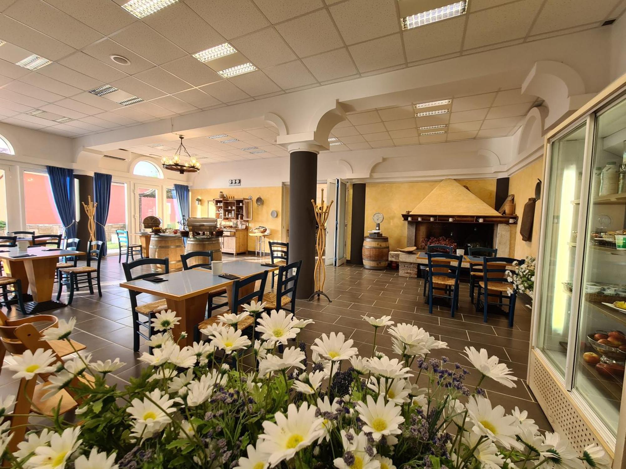 Hotel Stara Sola - Oleander Resort Korte Exteriér fotografie